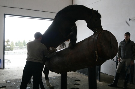 Щаслива мить кохання