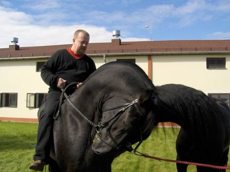 Коні в стилі elGephest