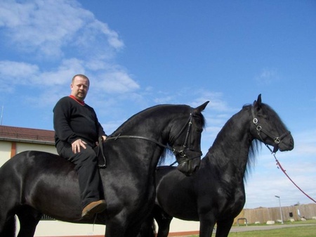 Коні в стилі elGephest-2