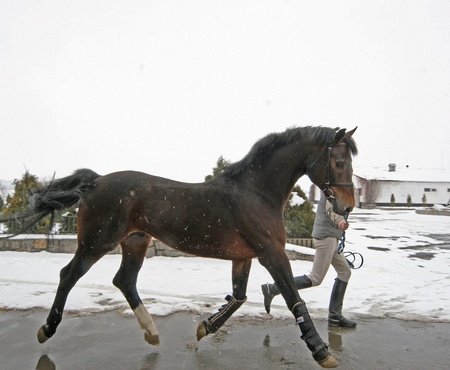 Золотий фонд заводу - Лансер ІІІ