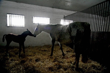 Мама завжди поруч