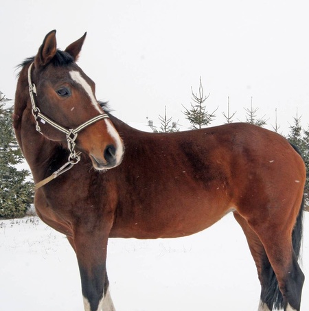 "Мамулічка-красотулічка"