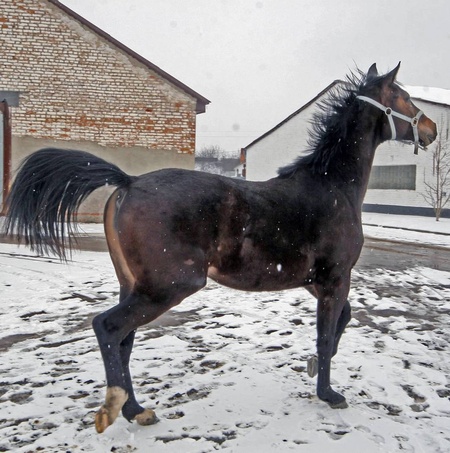 Дивіться як я вмію ;)