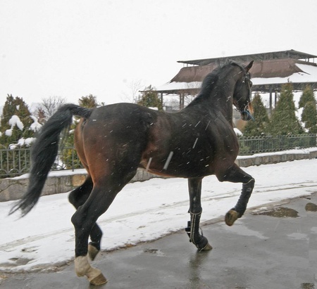 І знову Лансер III. Краса та сила!