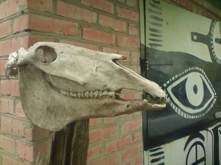 Духів пращурів заспокоєно